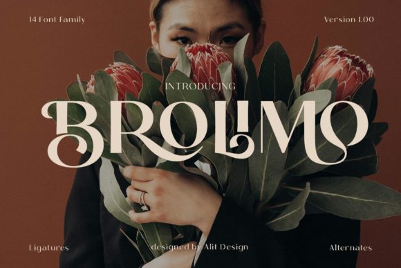 Exploring the Brolimo Display Font